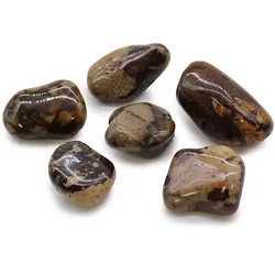 Bag of 6 Large African Tumble Stones - Jasper Nguni