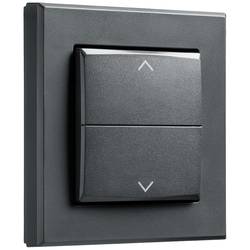 Homematic IP Tasterwippe HmIP-BRA-A 156171A0