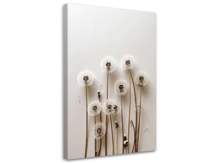 Feeby Leinwandbild Pusteblumen Pflanzen Natur Boho 80x120cm, Beige, Baum/Pflanze/Natur, Rechteckig, 80x120 cm, Bilder & Rahmen, Bilder, Leinwandbilder