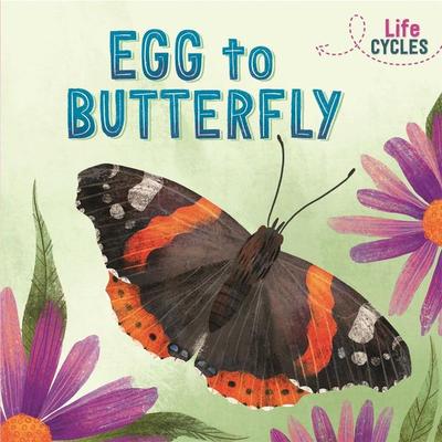 Life Cycles: Egg to Butterfly, Taschenbuch von Rachel Tonkin, Hachette Children's Book, 978-1-5263-1022-4