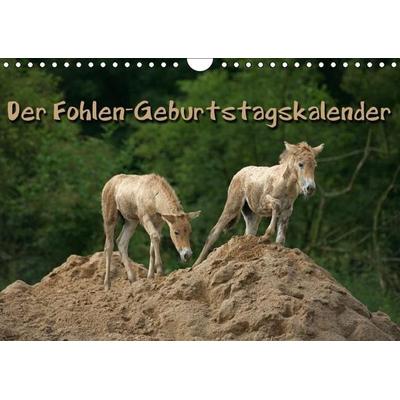 Der Fohlen-Geburtstagskalender (Wandkalender immerwährend DIN A4 quer)