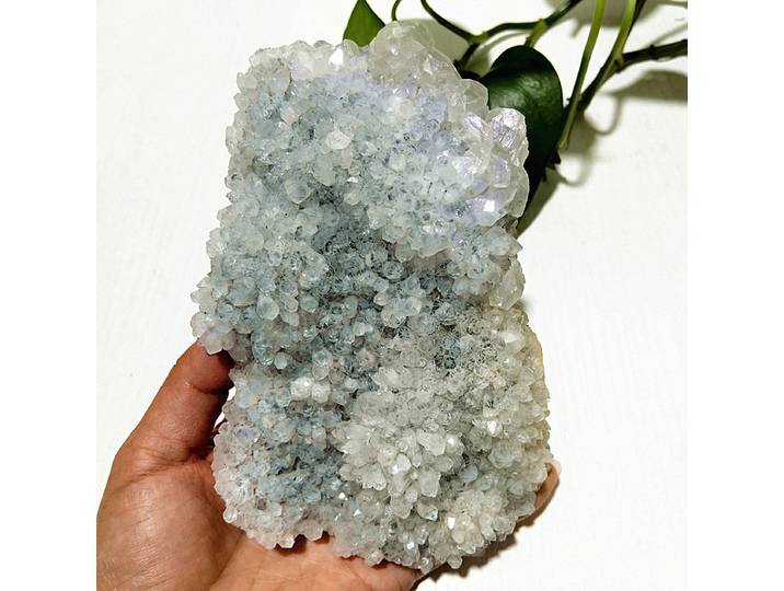 Chrysanthème naturel Fluorite minerai marque symbiose cristal grappe spécimen méditation Feng Shui cristal énergie salle décoration