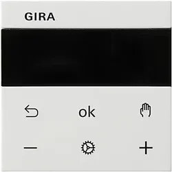 Gira RTR Display rws 539303