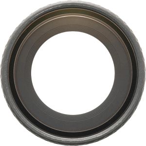 DJI DJI Osmo Nano Objektivabdeckung Action-Cam-Linsenschutz, für  Osmo Nano, aus Glas