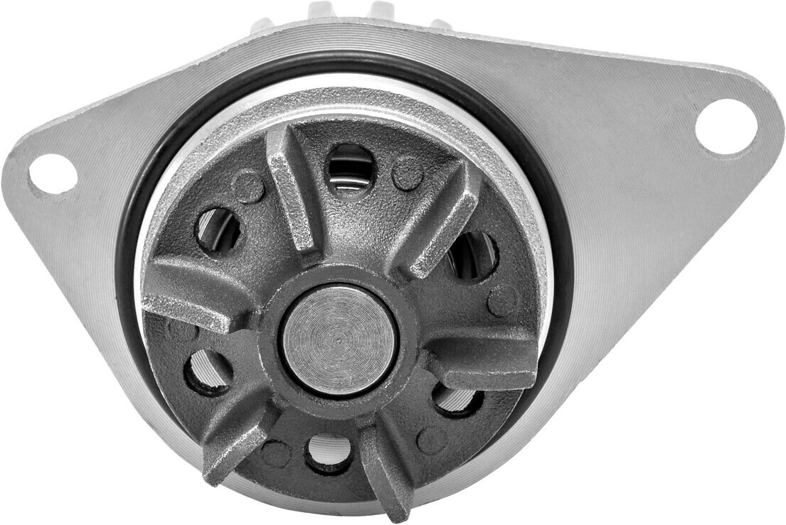 Valeo Wasserpumpe 506035 Für Peugeot (Df-Psa) Rover