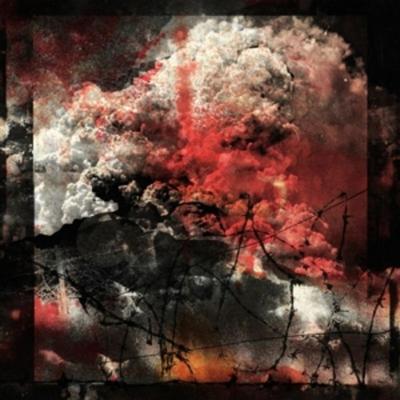 Dissimulant - Ruin Lust, Vinyl