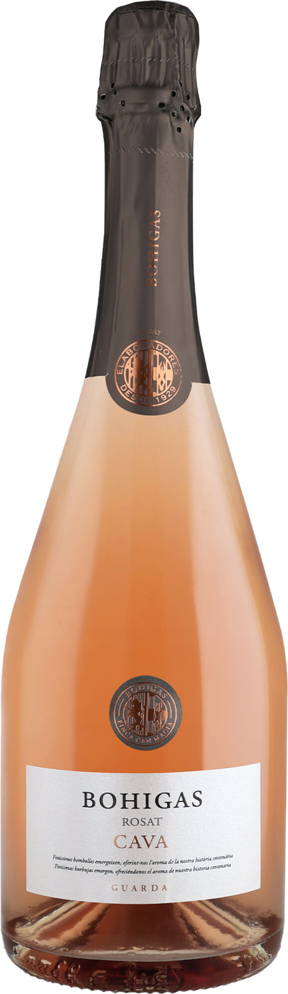 Bohigas Cava Rose 12% Vol. Trocken aus Spanien