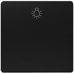 Siemens 5TG6201-0SB20 DELTA i-system Wippe mit Symbol Licht, soft schwarz 5TG62010SB20