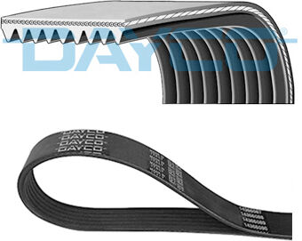 Dayco Keilrippenriemen 9pk1550hd Für Freightliner
