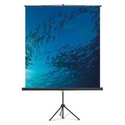 Magnetoplan Leinwand Professional 6100216 200x200cm weiss (6100216)