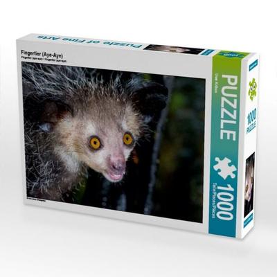 CALVENDO Puzzle Fingertier (Aye-Aye) | 1000 Teile Lege-Größe 64 × 48 cm Foto-Puzzle für glückliche Stunden
