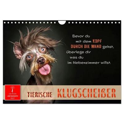 Tierische Klugscheißer (Wandkalender 2027 DIN A4 quer), CALVENDO Monatskalender