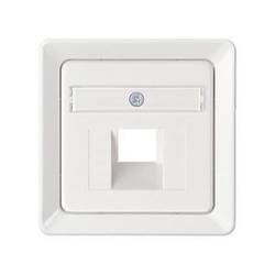 ELSO 206524 ELSO Zentralplatte 206524 1xRJ45 mit Schriftfeld reinweiß RJ45-Datendose ELSO 10 St.