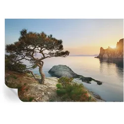 FOTOTAPETE 208x146 cm - Friedliche Natur