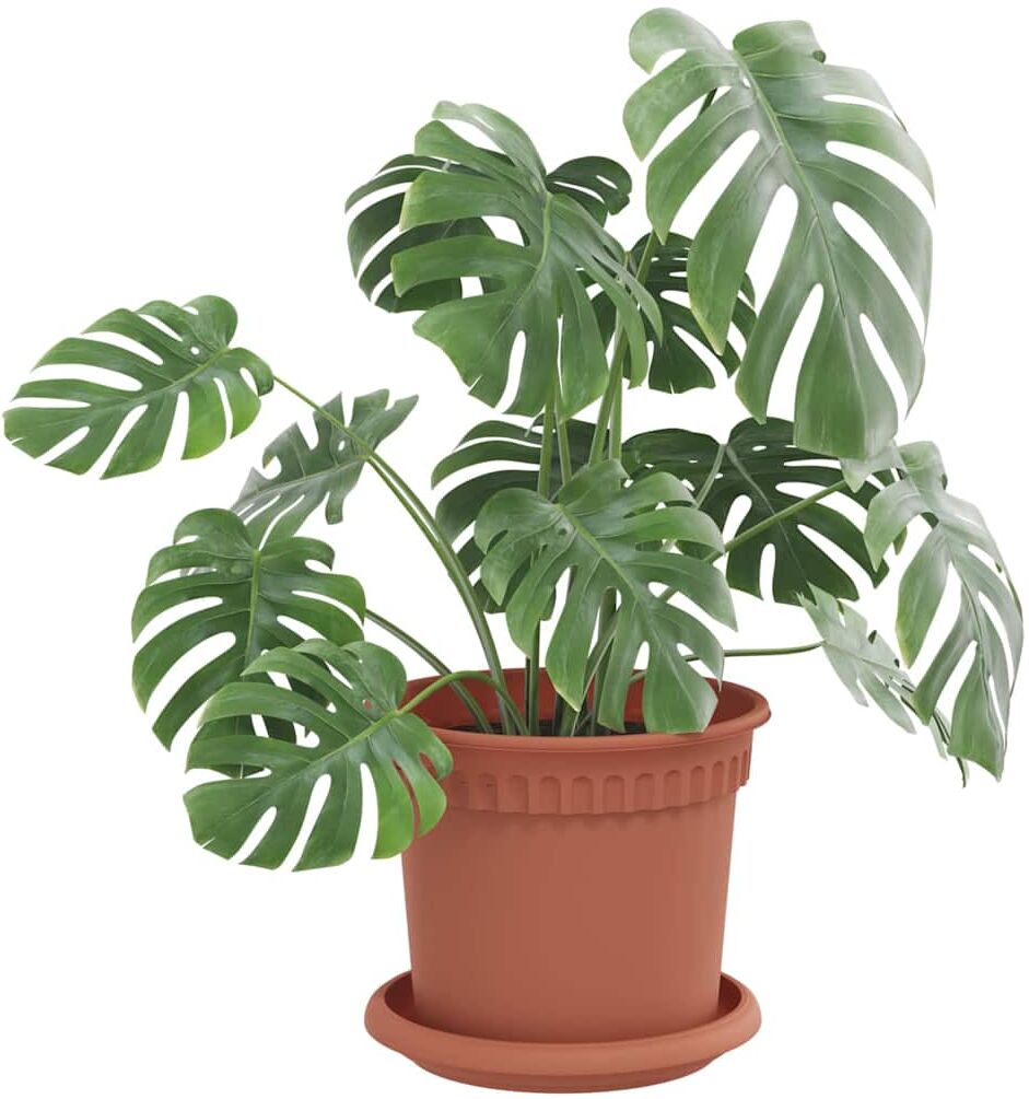 vidaXL Pots de plantes 6 pc Rouge brique Plastique