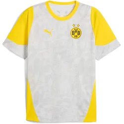 Puma, Herren, Fussballtrikot, BVB Training Jersey (M), Gelb, Grau, M