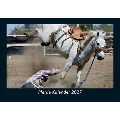 Pferde Kalender 2027 Fotokalender DIN A5