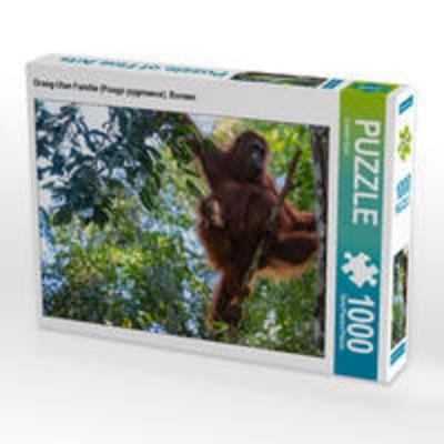 CALVENDO Puzzle Orang-Utan Familie (Pongo pygmaeus), Borneo | 1000 Teile Lege-Größe 64x48cm Foto-Puzzle für glückliche Stunden