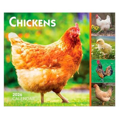 Chickens 2026 6 X 5 Inch Daily Desktop Box Calendar New Page Every Day