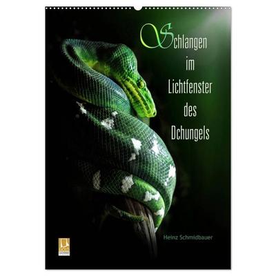 Schlangen im Lichtfenster des Dschungels (Wandkalender 2027 DIN A2 hoch), CALVENDO Monatskalender