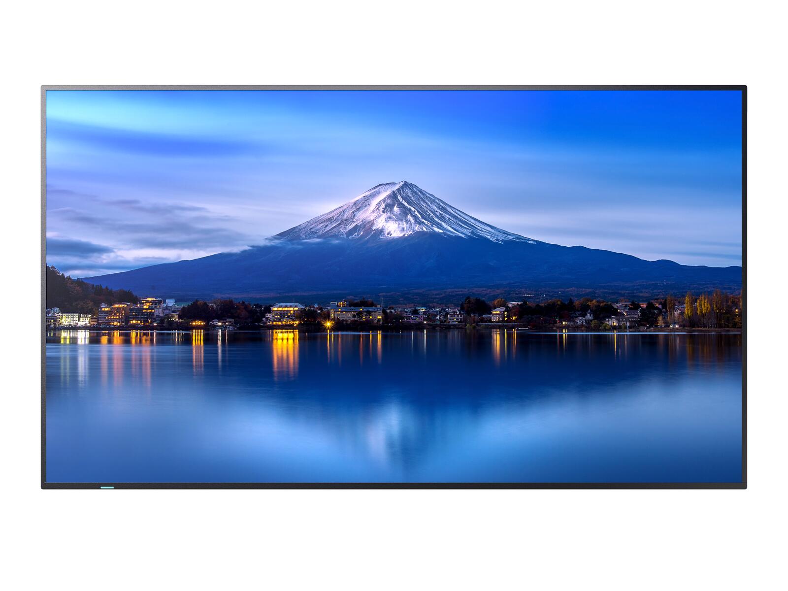 Sharp Display Solutions Sharp MultiSync P556 Digital Signage 138,8 cm (55 Zoll) PNP556