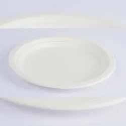 emissimo BIO Teller aus Zuckerrohr Weiss Zuckerrohrteller Einwegteller Rund Ø 260 mm  50 Stück