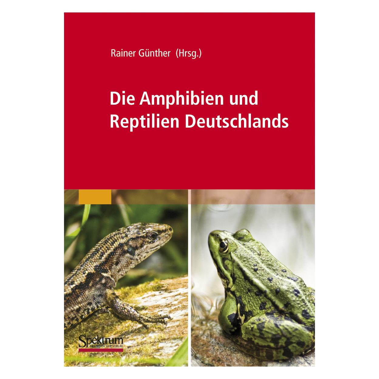 Spektrum Die Amphibien und Reptilien Deutschlands (Deutsch, Softcover, Rainer Günther) (7917636)