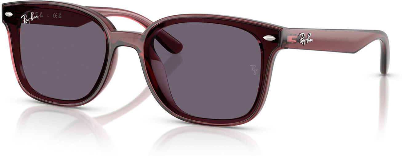 Ray-Ban 4461D (659373)