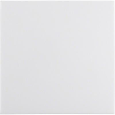 Berker Wippe pws/gl 16208989
