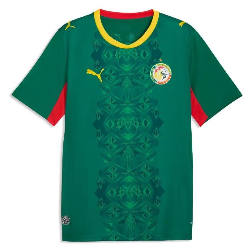Puma FSF Away Jersey Replica (M) (783171)