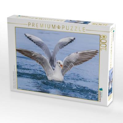 CALVENDO Puzzle Perfekte Landung - Eleganz auf dem Wasser! | 1000 Teile Lege-Größe 64x48cm Foto-Puzzle für glückliche Stunden