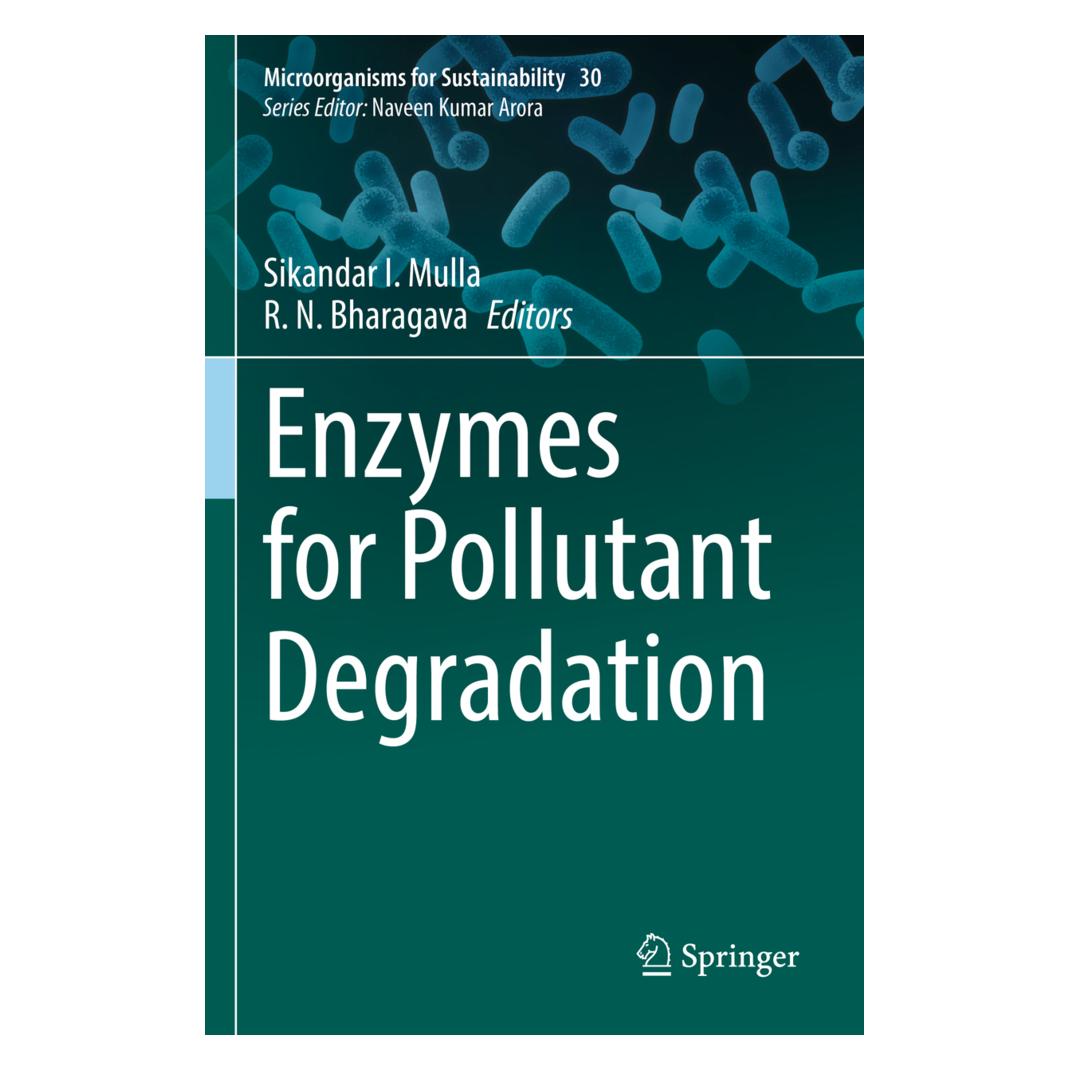 Springer Enzymes for Pollutant Degradation (Englisch, Softcover, R. N. Bharagava, Sikandar I. Mulla) (56946855)