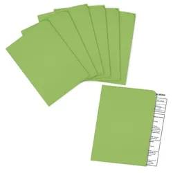 ELCO Sichthüllen »Ordo discreta« A4 Papier 100 Stück grün