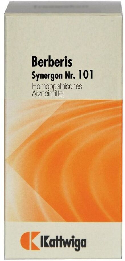 Synergon 101 Berberis Tabletten