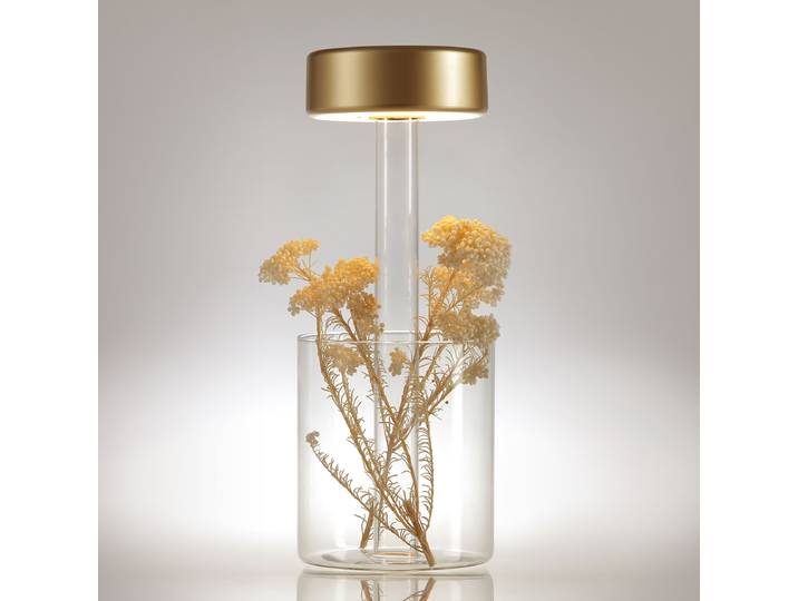 Lampe LED AI Collaboration type A 12 x 35 x 12cm Transparent/Doré/Doré Matériau : Verre, Métal Surface en métal : Laqué Type de métal :