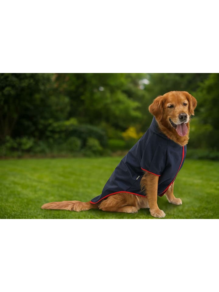 Paws&Whiskers Hundehoodie in Dunkelblau - 4XL