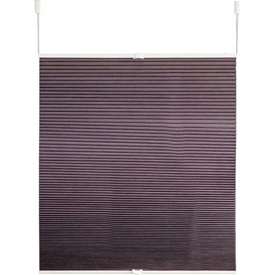 Wabenplissee KUTTI "Blake" Gr. 2, grau (anthrazit), B:70cm H:140cm, Obermaterial: 100% Polyester, Plissees, Thermo, energiesparend, beschichtet, abdunkelnd, isolierend