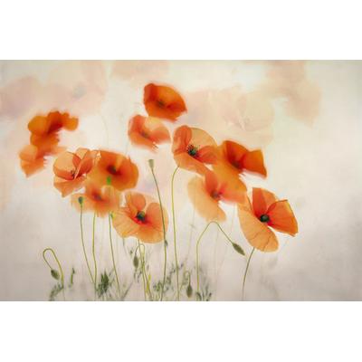 Fototapete PAPERMOON "Photo-Art NEL TALEN, IM WIND WINKEN", bunt, B:3,5m L:2,6m, Vlies, Tapeten