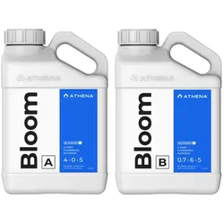 Athena Bloom A + B 18.92 l - 18,92 l