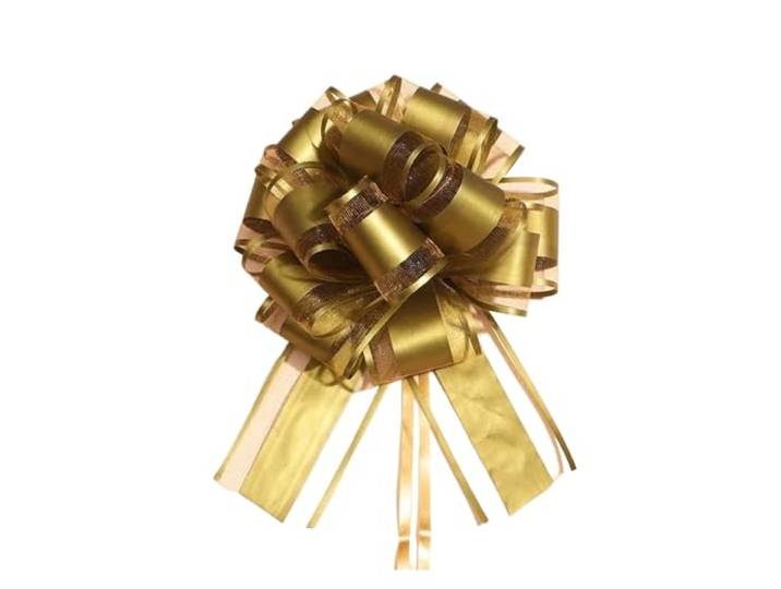 100 Stück weiße Hochzeitsschleifen fürs Auto Für Verpackung Hochzeitsauto-Dekoration, Geburtstagsparty-Zubehör, Stühle, DIY-Heimdekoration(Gold)