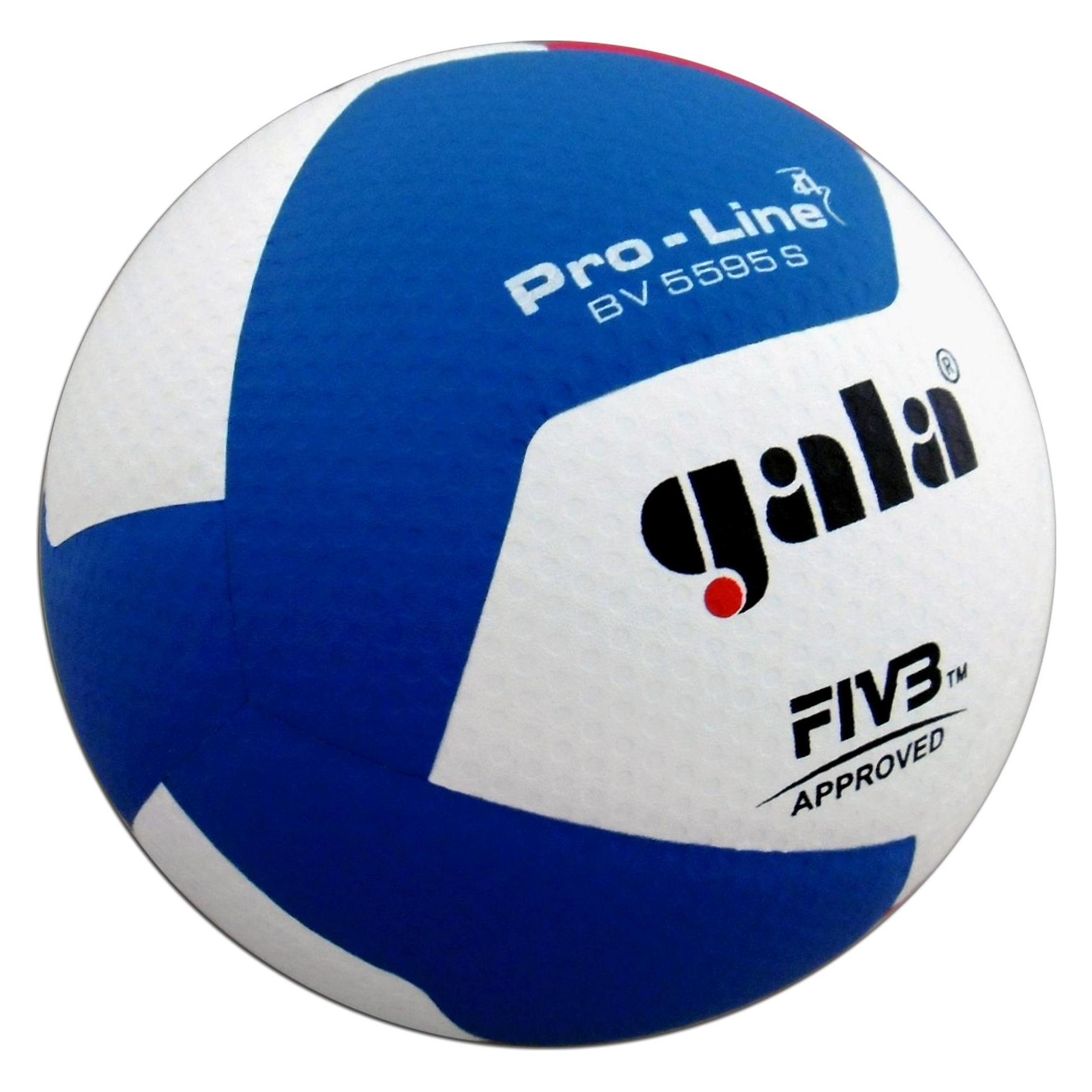 Gala Volleyball Pro-Line BV5595S (5) (50029012)