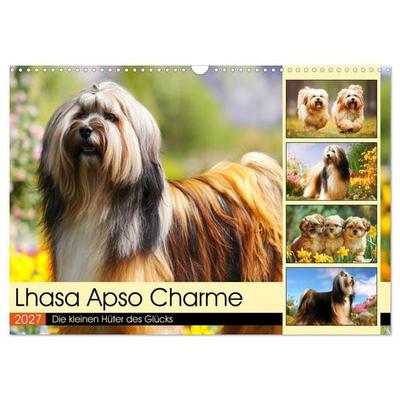 Lhasa Apso Charme. Die kleinen Hüter des Glücks (Wandkalender 2027 DIN A3 quer), CALVENDO Monatskalender