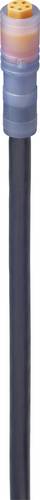 Lumberg Automation 934871019-5 Sensor-/Aktor-Anschlussleitung M8 Kupplung, gerade 2.00m Polzahl Sensoren: 5