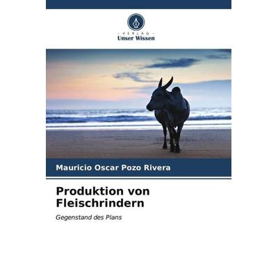 Produktion von Fleischrindern, Taschenbuch von Mauricio Oscar Pozo Rivera, Verlag Unser Wissen, 978-620-6-57140-7