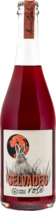 Vitivinicola Fangareggi Lambrusco Rosè Frizzante Ancestrale 'Selvadeg' Fangareggi