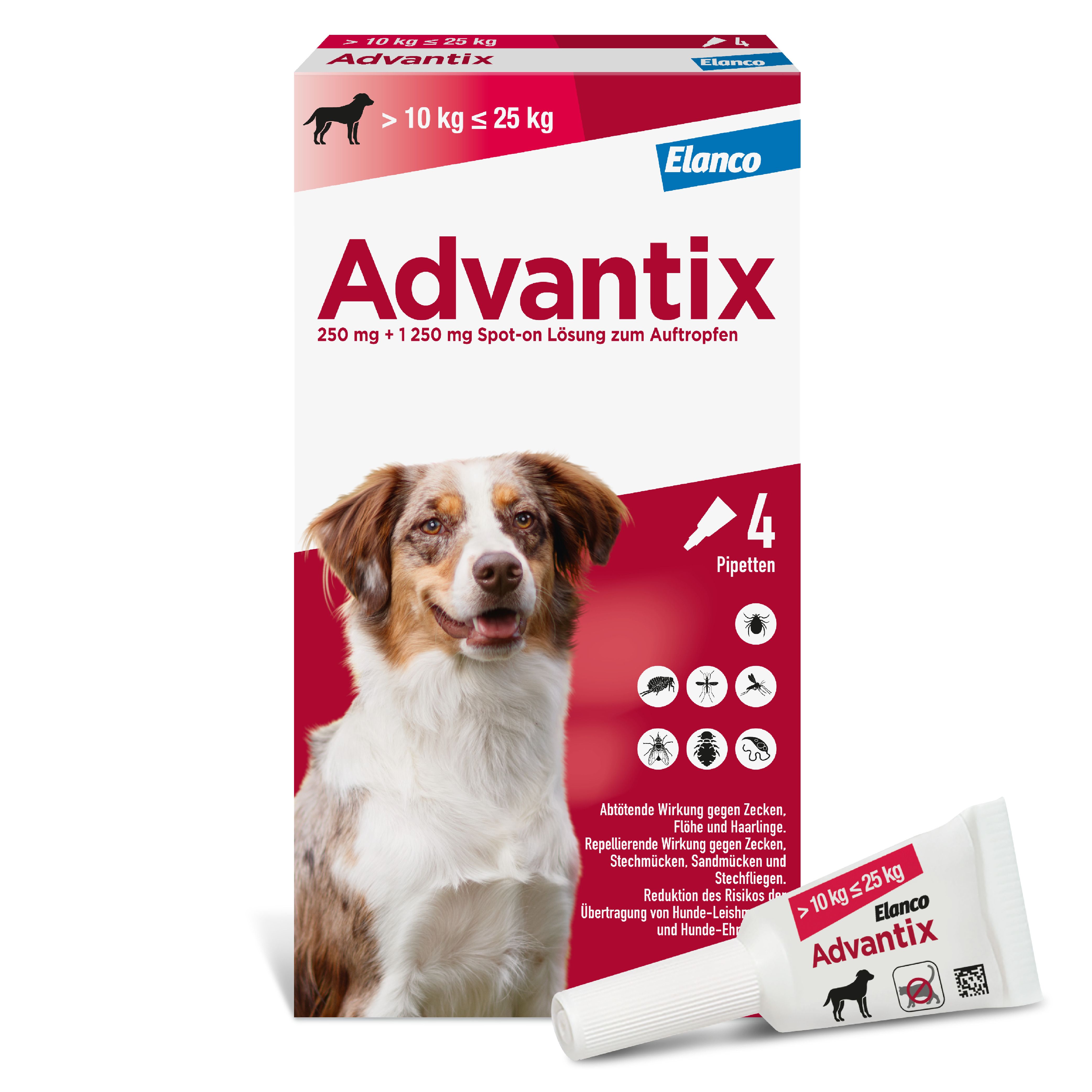Advantix Spot-on Lsg.z.Auftr.a.d.H.f.Hund 10-25 kg 4 St Lösung