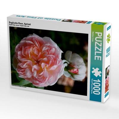 CALVENDO Puzzle Englische Rose, Apricot | 1000 Teile Lege-Größe 64x48cm Foto-Puzzle für glückliche Stunden