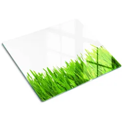 GLASPLATTE 60x52 cm Gras