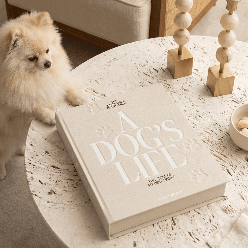 'A Dog's Life' Decorative Photo Album