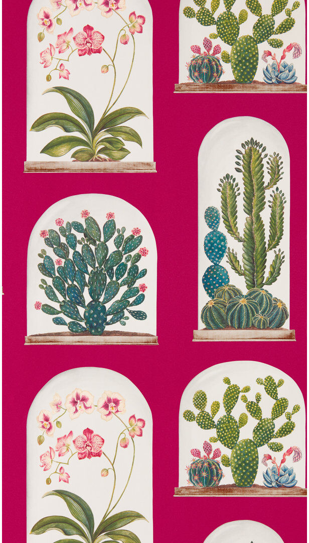 Sanderson Terrariums 10.05m x 52cm Matte Wallpaper Roll Pink